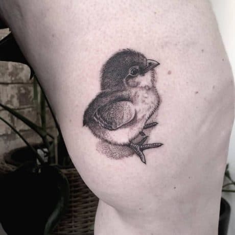 tattoos Superb Fairy Wren on the ankle #fairywren #superb… | Flickr