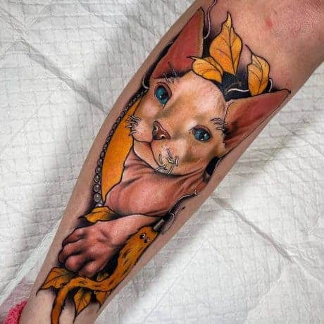 Neo-Traditional cat tattoo on arm