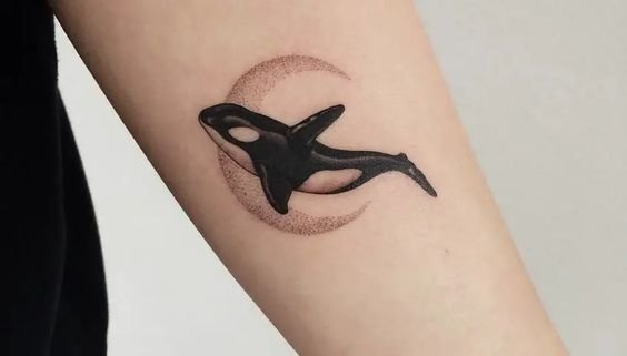 Orca whale design ideas