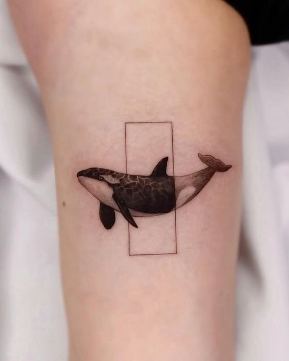 Orca whale tattoos