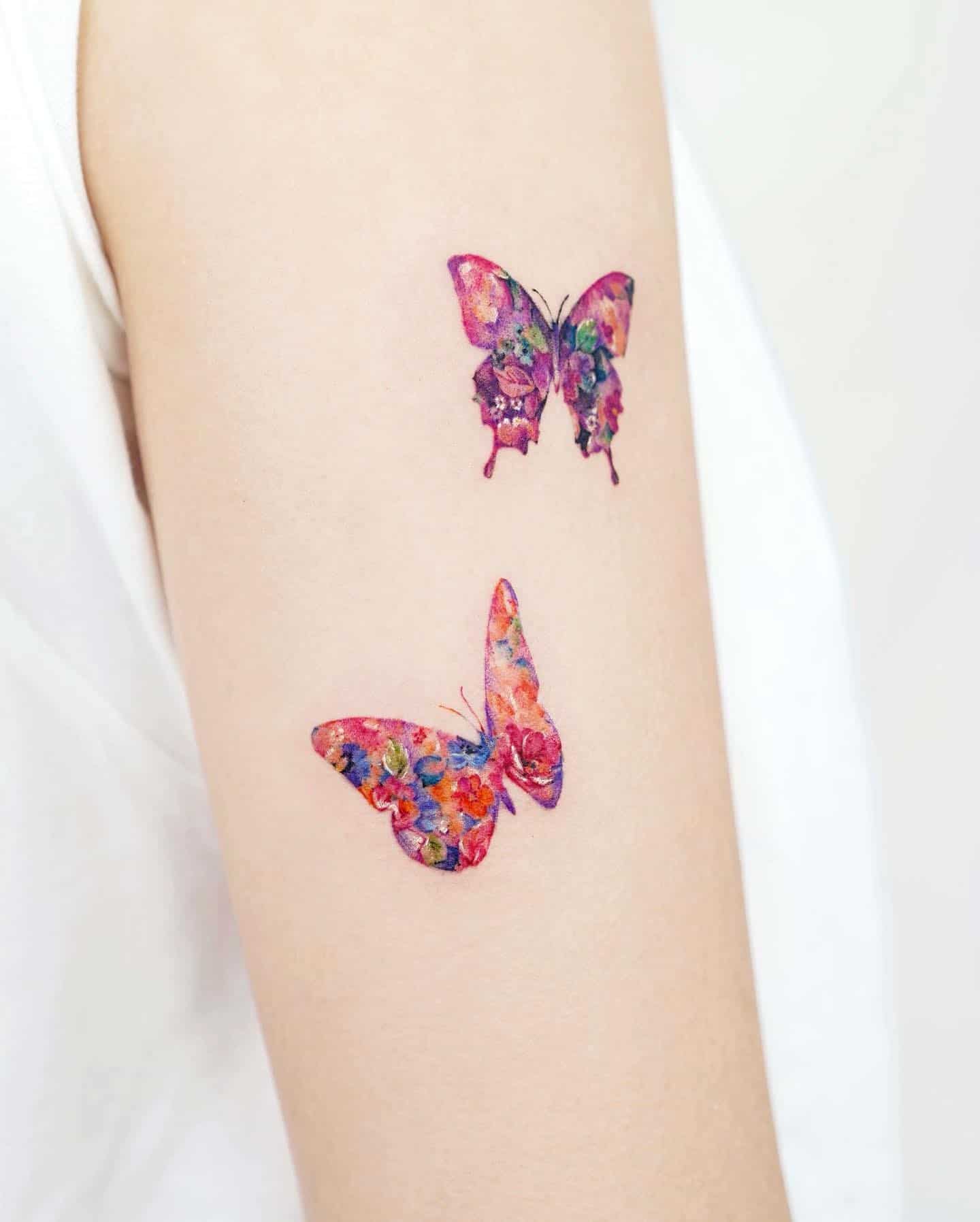 vibrant color butterfly