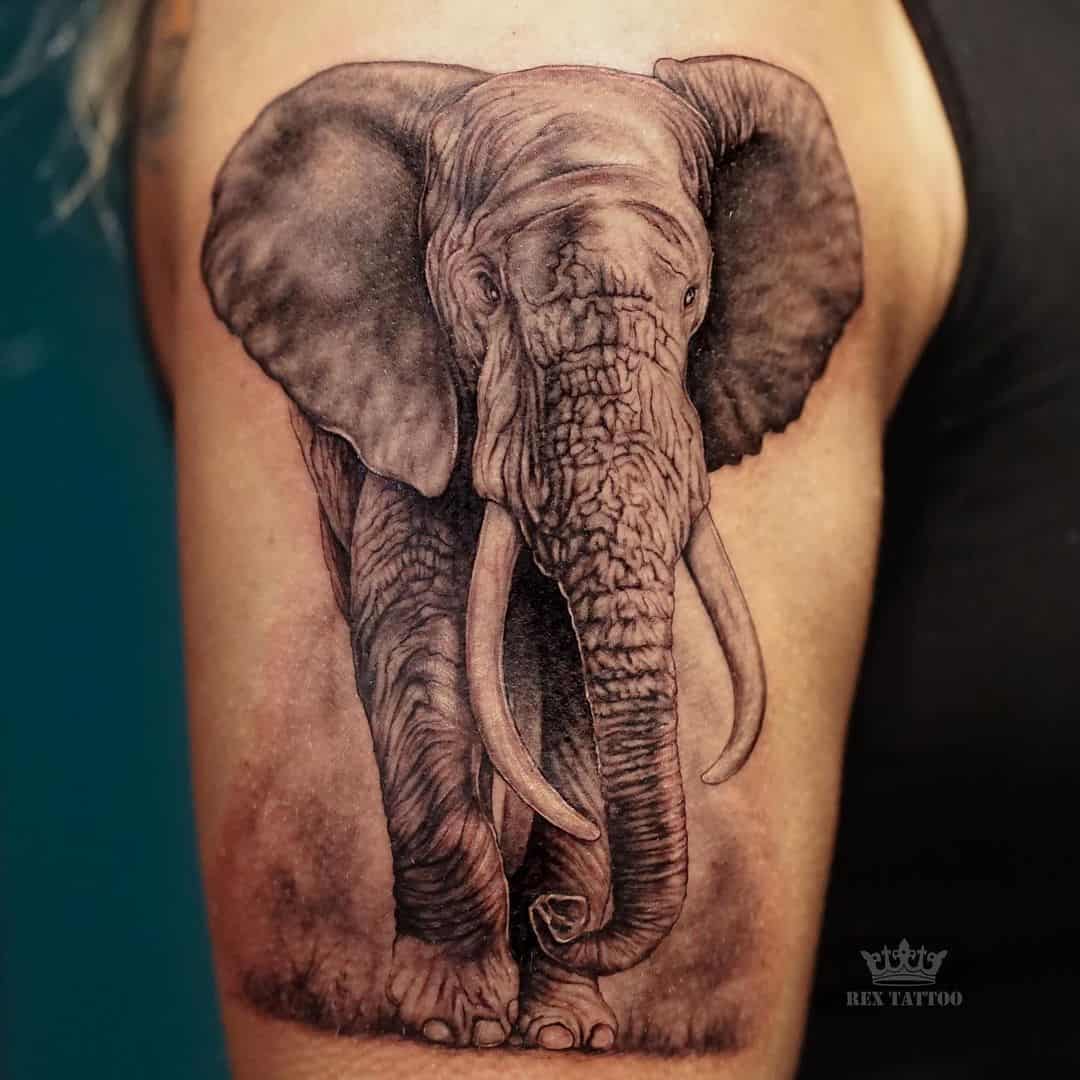 Cute Elephant Small Hand Tattoo For Women Tattoos For Women, HD wallpaper |  Peakpx