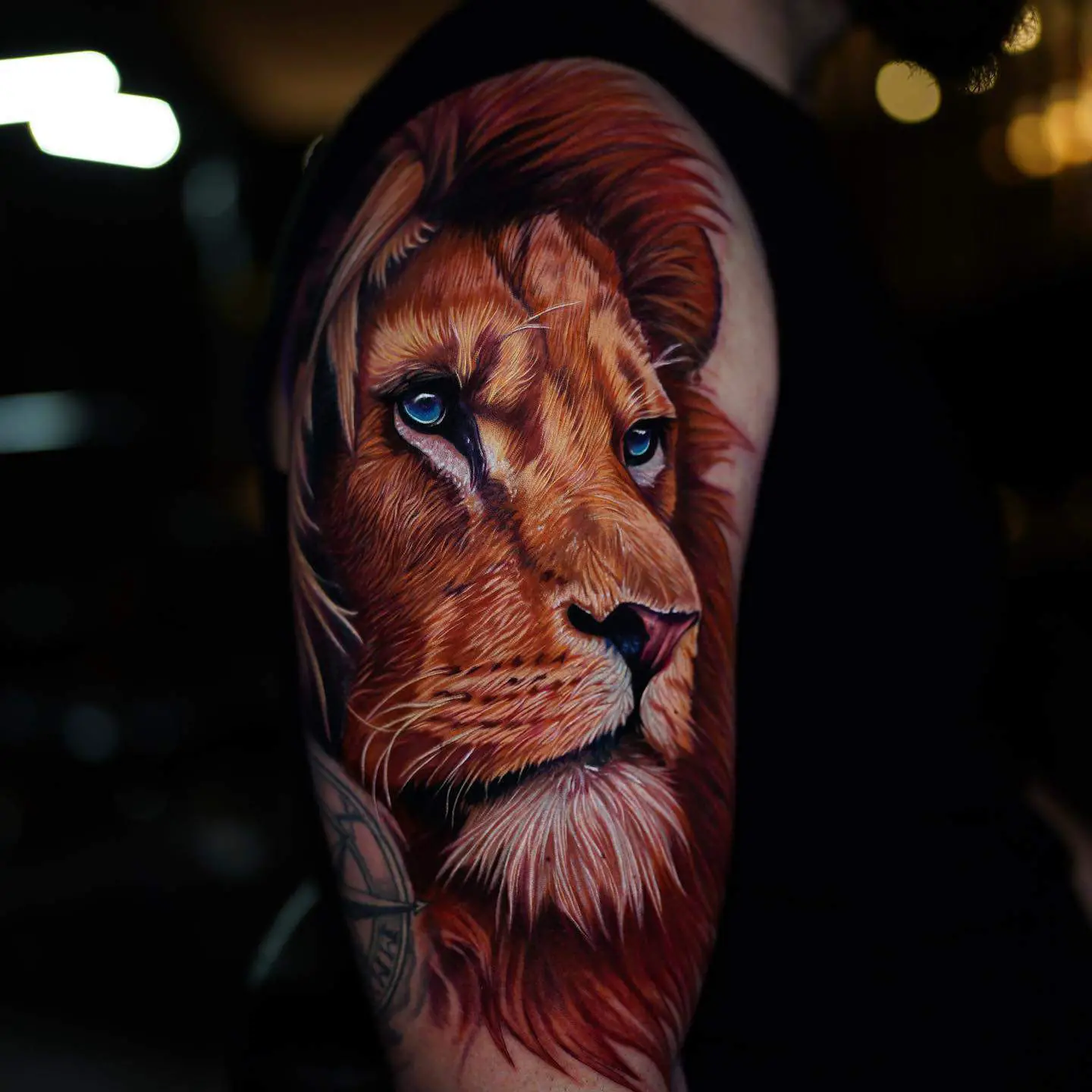 color head lion 