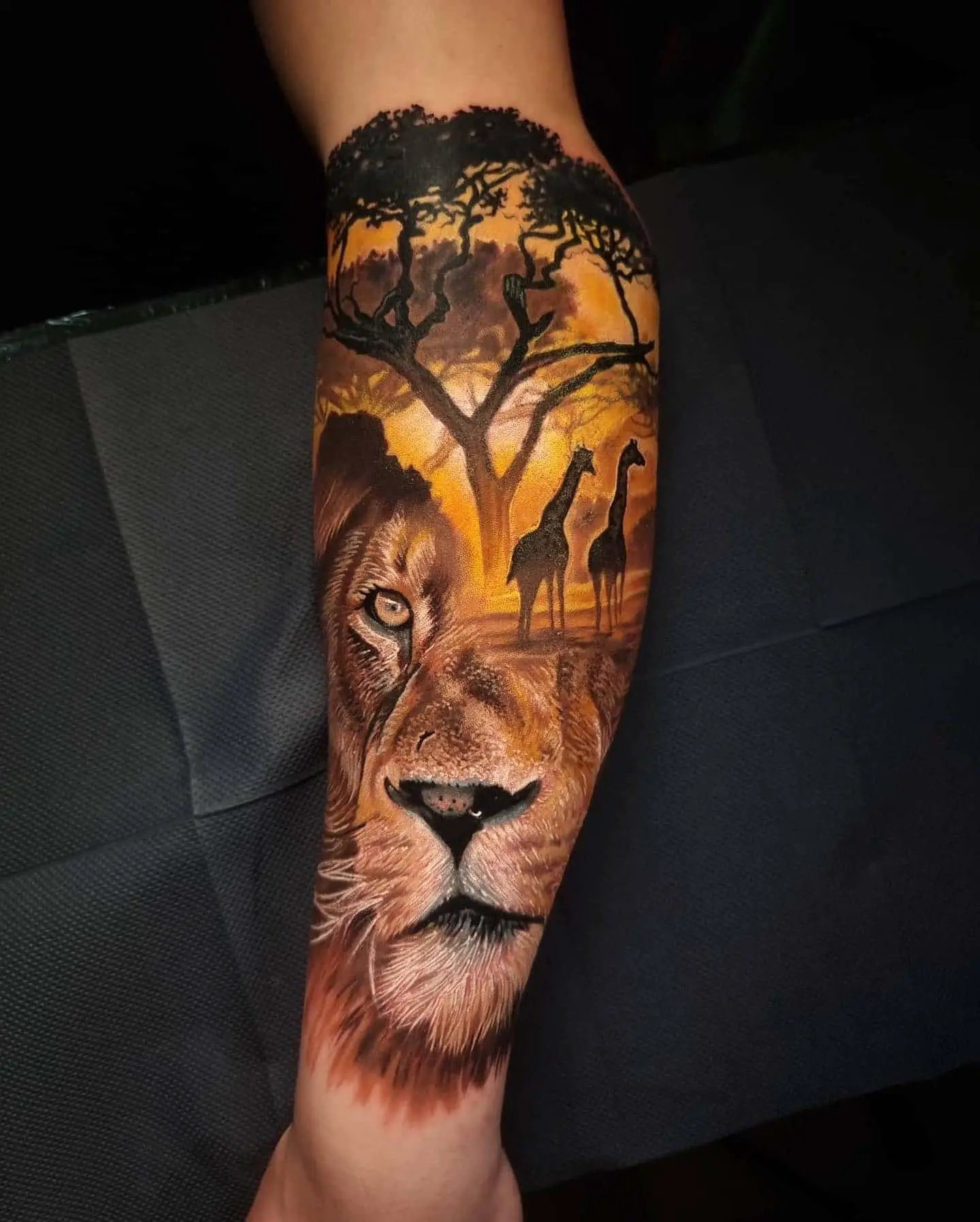 colored african safari lion tattoo
