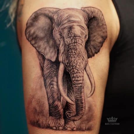lone elephant tattoo 