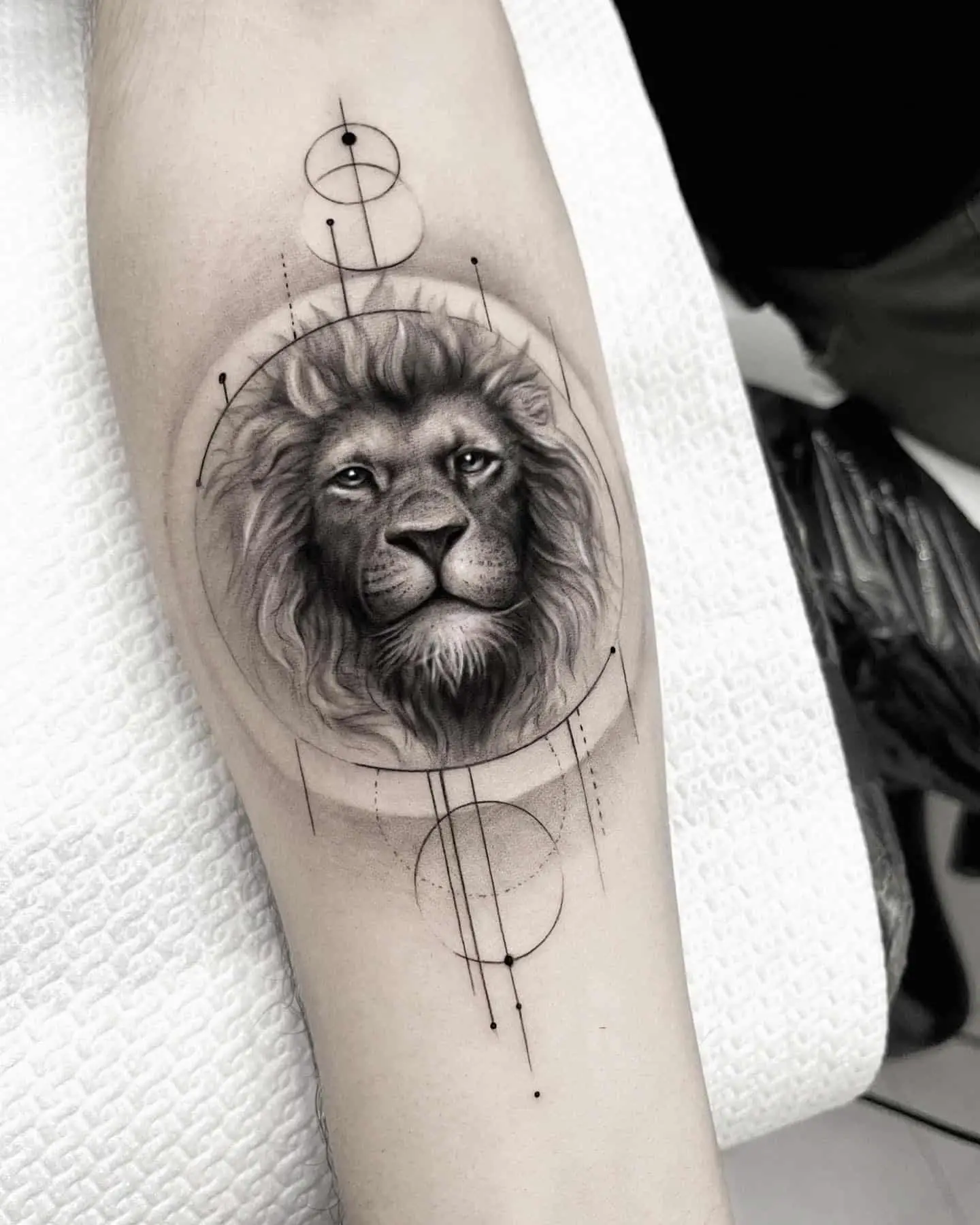fineline style lion tatoo on forearm