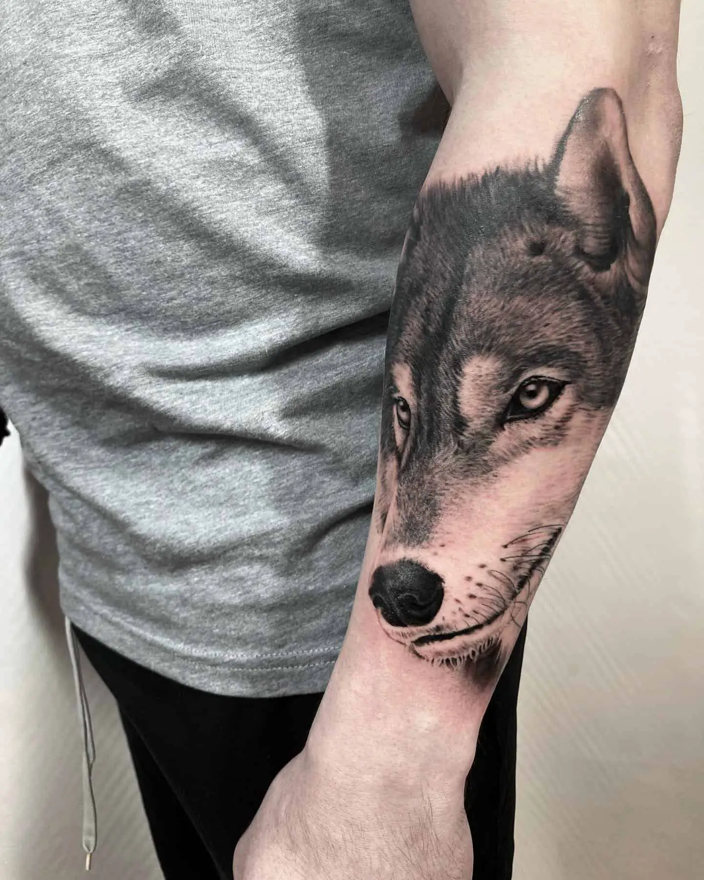 forearm wolf 