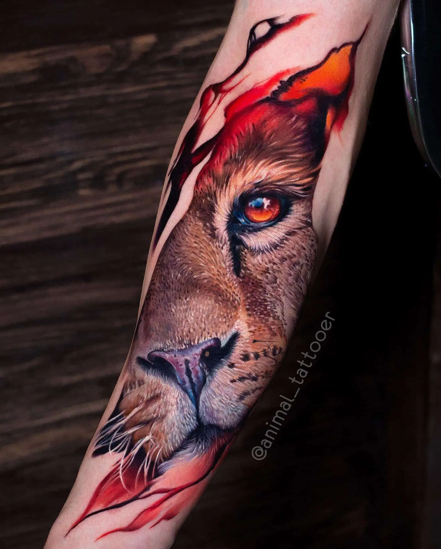 lion eyes tattoo
