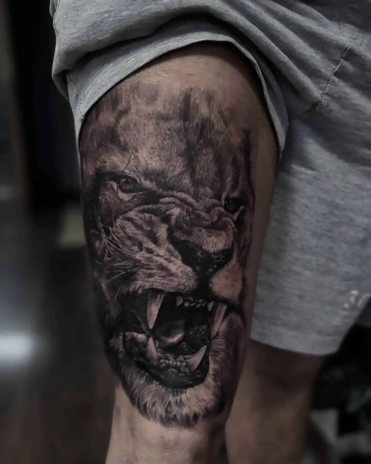 lion roar tattoo on thigh