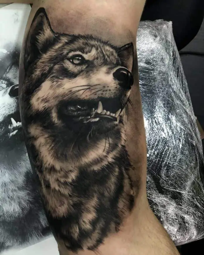 lone wolf tattoo on arm