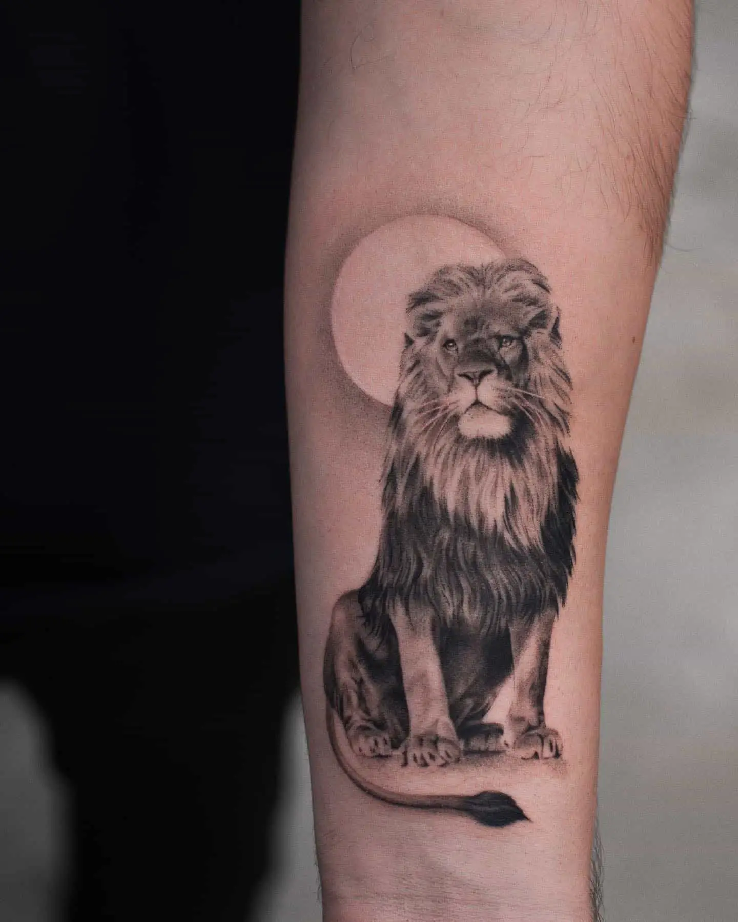 sitting pride lion tattoo