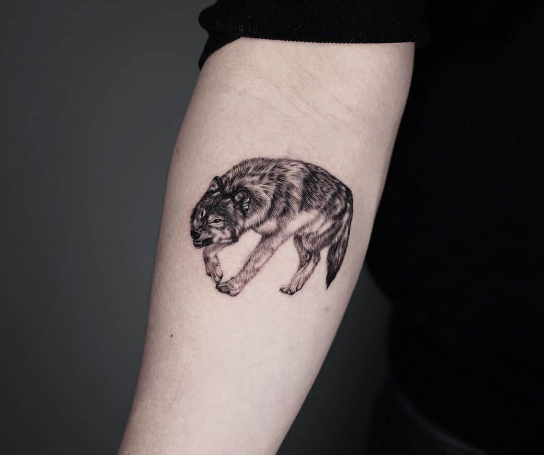 tired wolf tattoo on forearm by madman tattoo