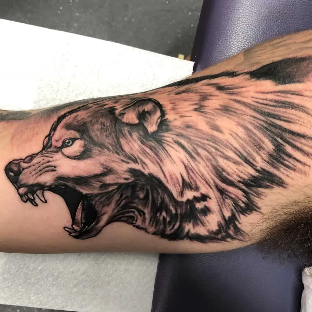treasuredink snarling wolf tattoo on arm