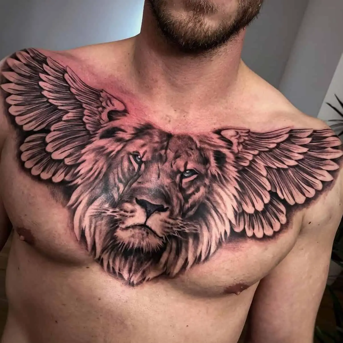 winged lion tattoo