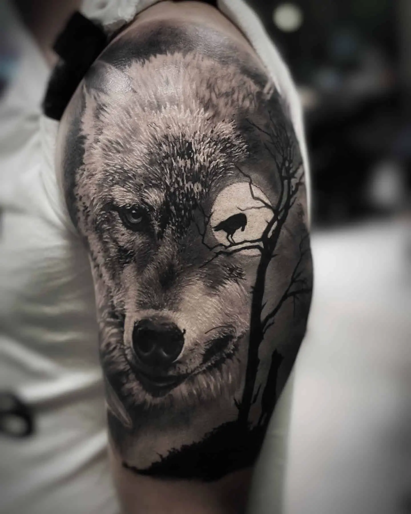 wolf and raven tattoo on arm by artist boa.tattoo