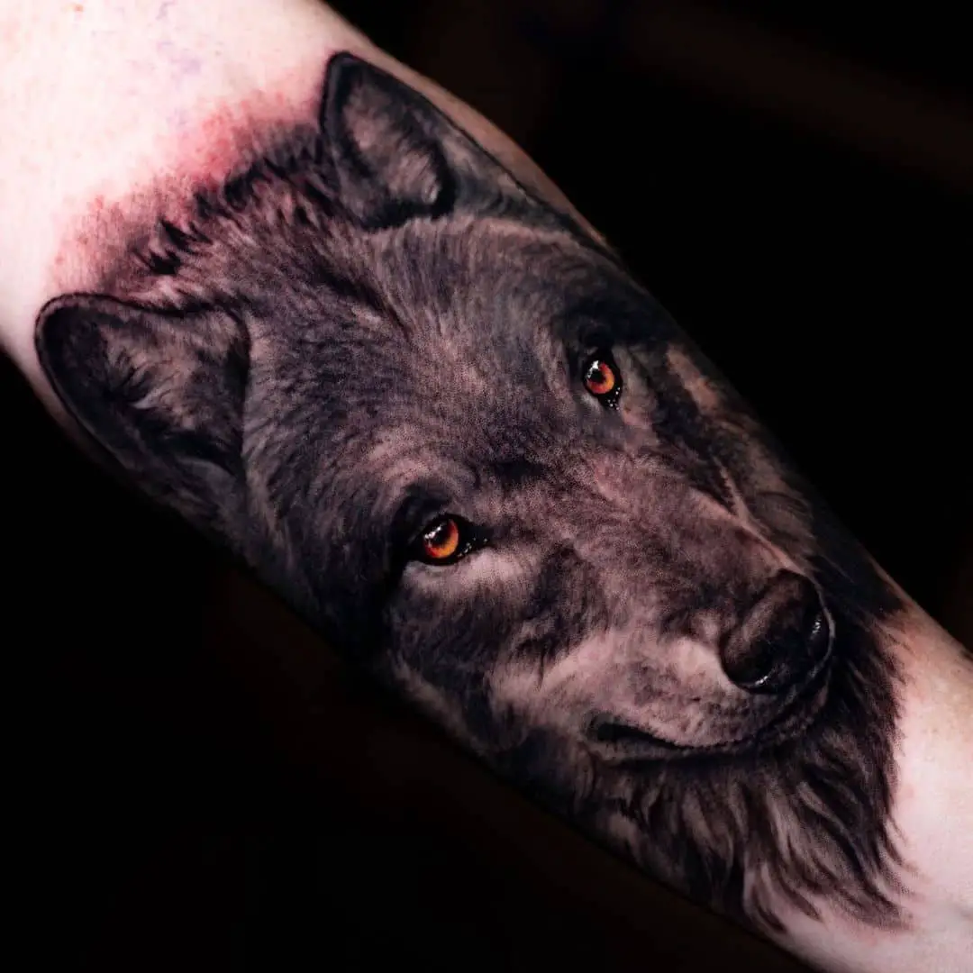 wolf face tattoo by joel pin