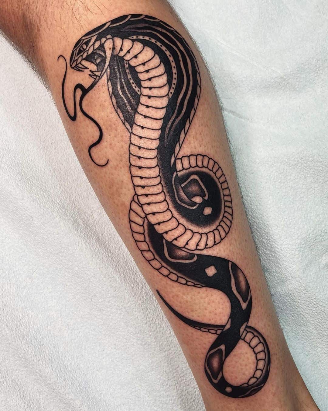neotraditional style snake tattoo on forearm