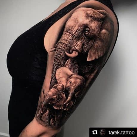 Elephant Half sleeve by Dave Koenig: TattooNOW
