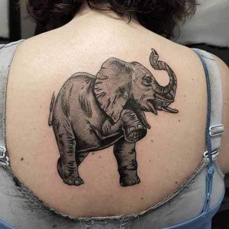 elephant tattoo on back