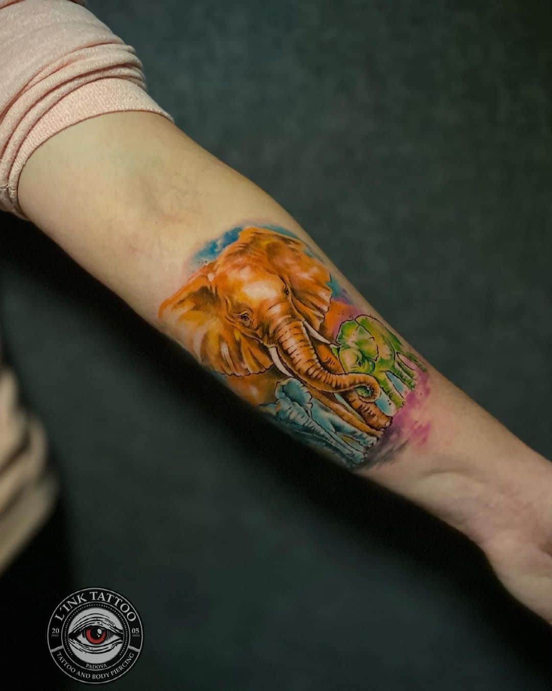 elephant tattoo on forearm
