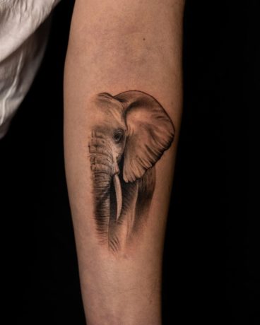 elephant half face tattoo by mattmatiktattoo