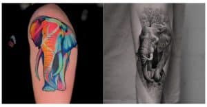 elephant tattoo design and ideas feature image