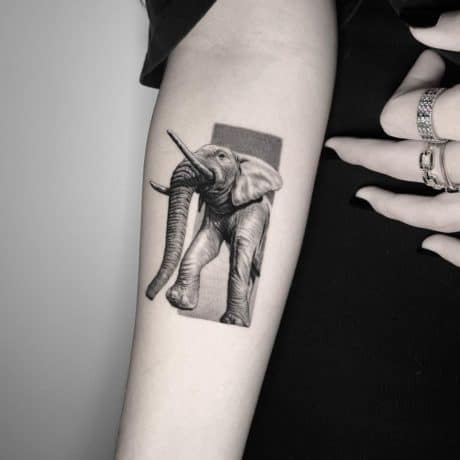 elephant forearm tattoo
