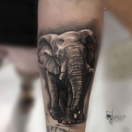 realistic elephant  tattoo
