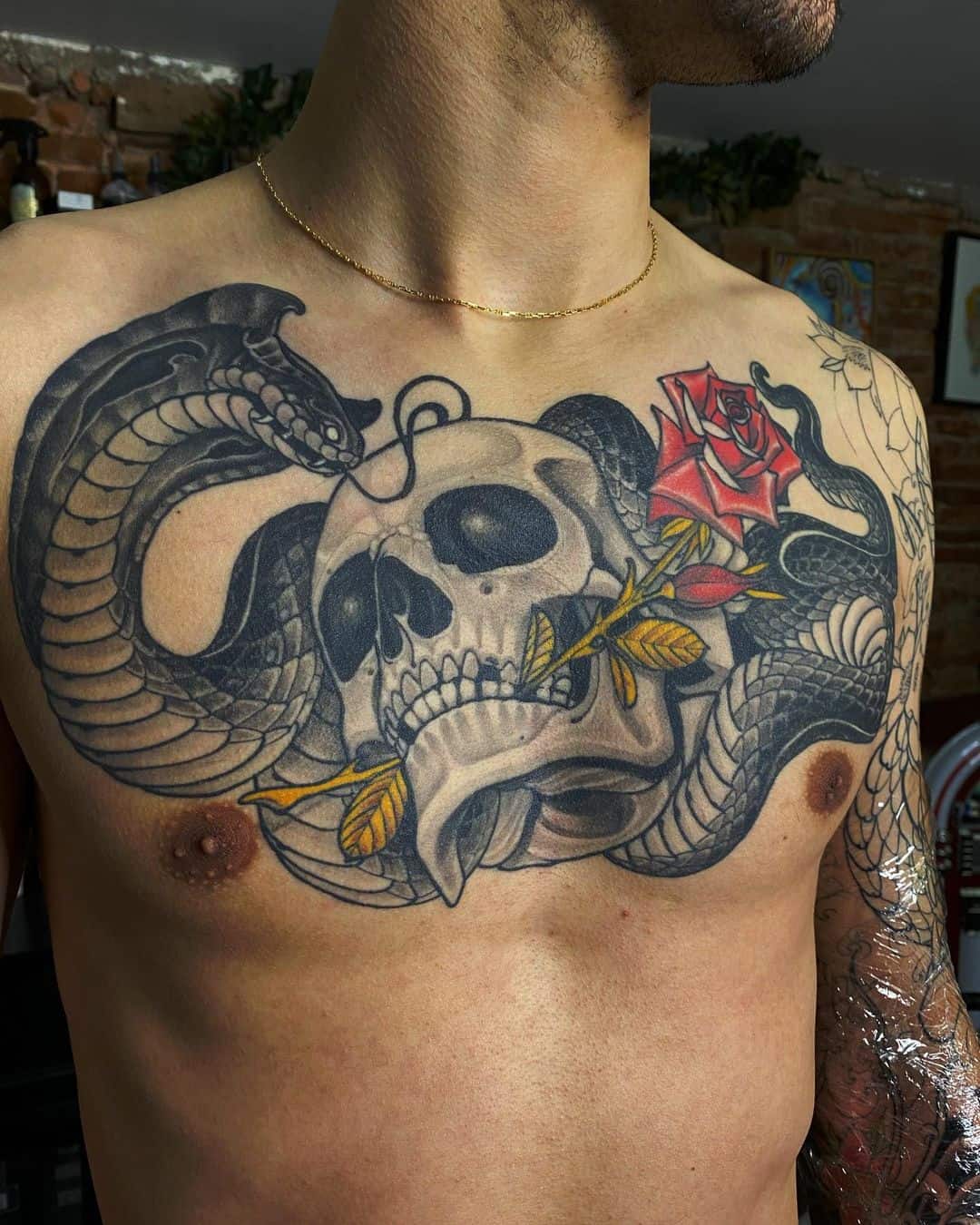 snake with skull on chest