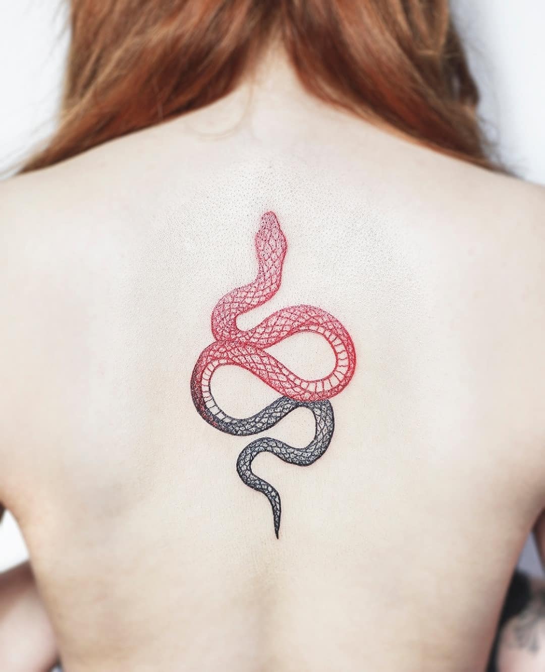 red and black inked snake tattoo
