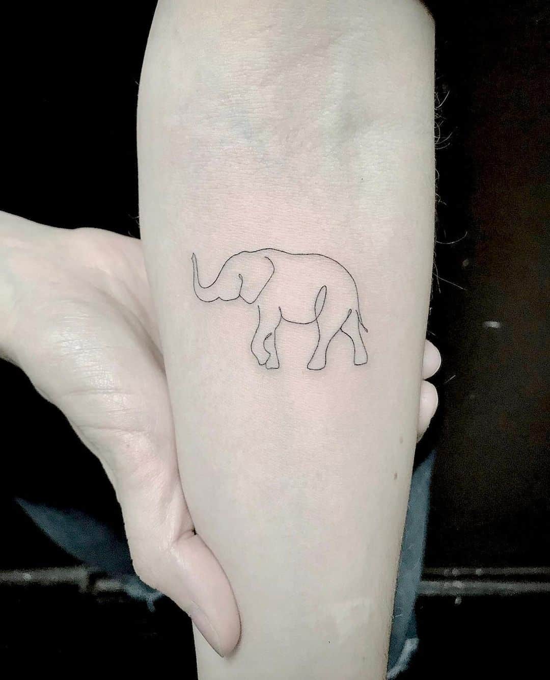 lined elephant tattoo on forearm