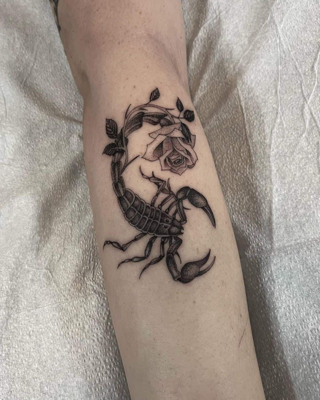 scorpion rose tattoo