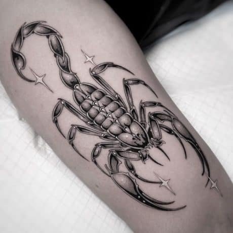 Scorpio Tattoo Ideas For Women | Book Your Tattoo With Australian Artists