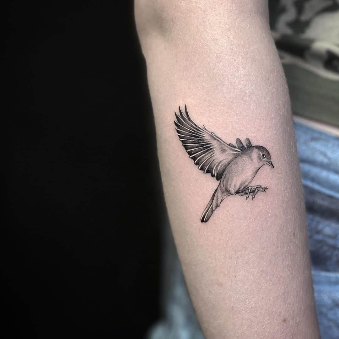 Blackbird Tattoo 