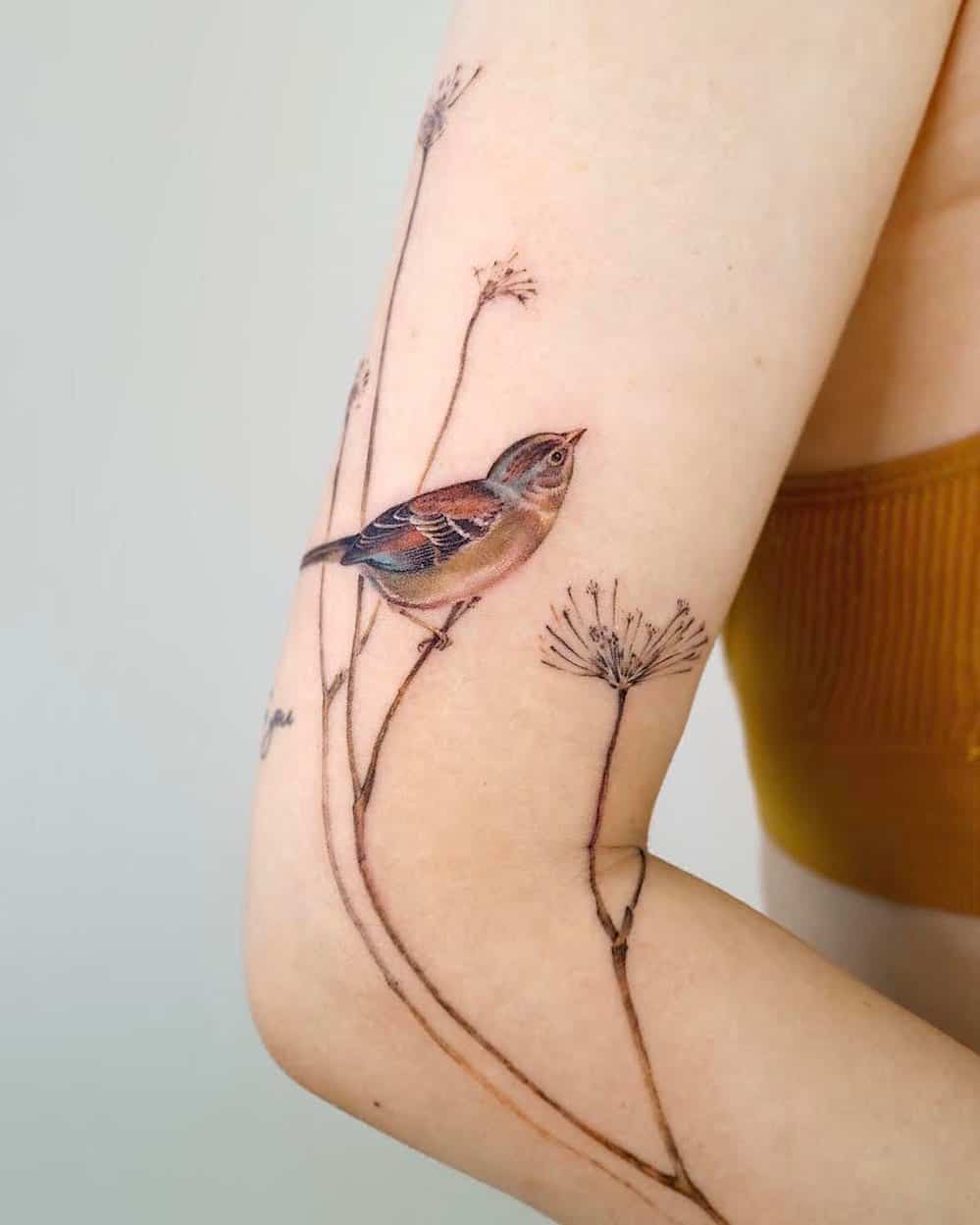 Australian bird tattoo on arm by
