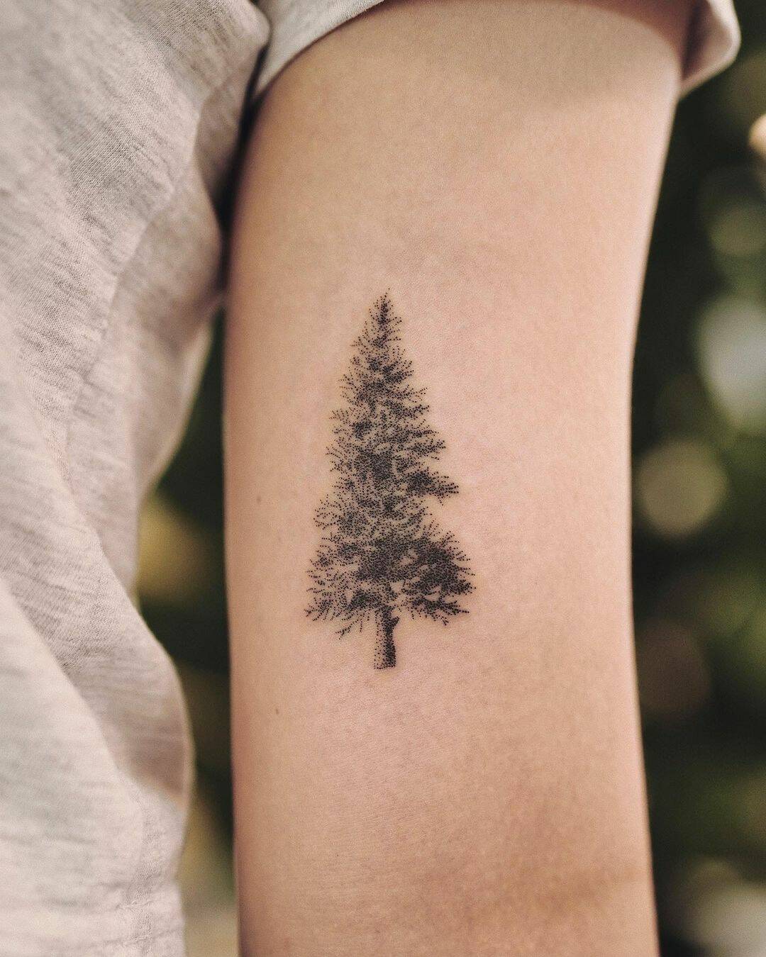 Pine tree tattoo by notemytattoo