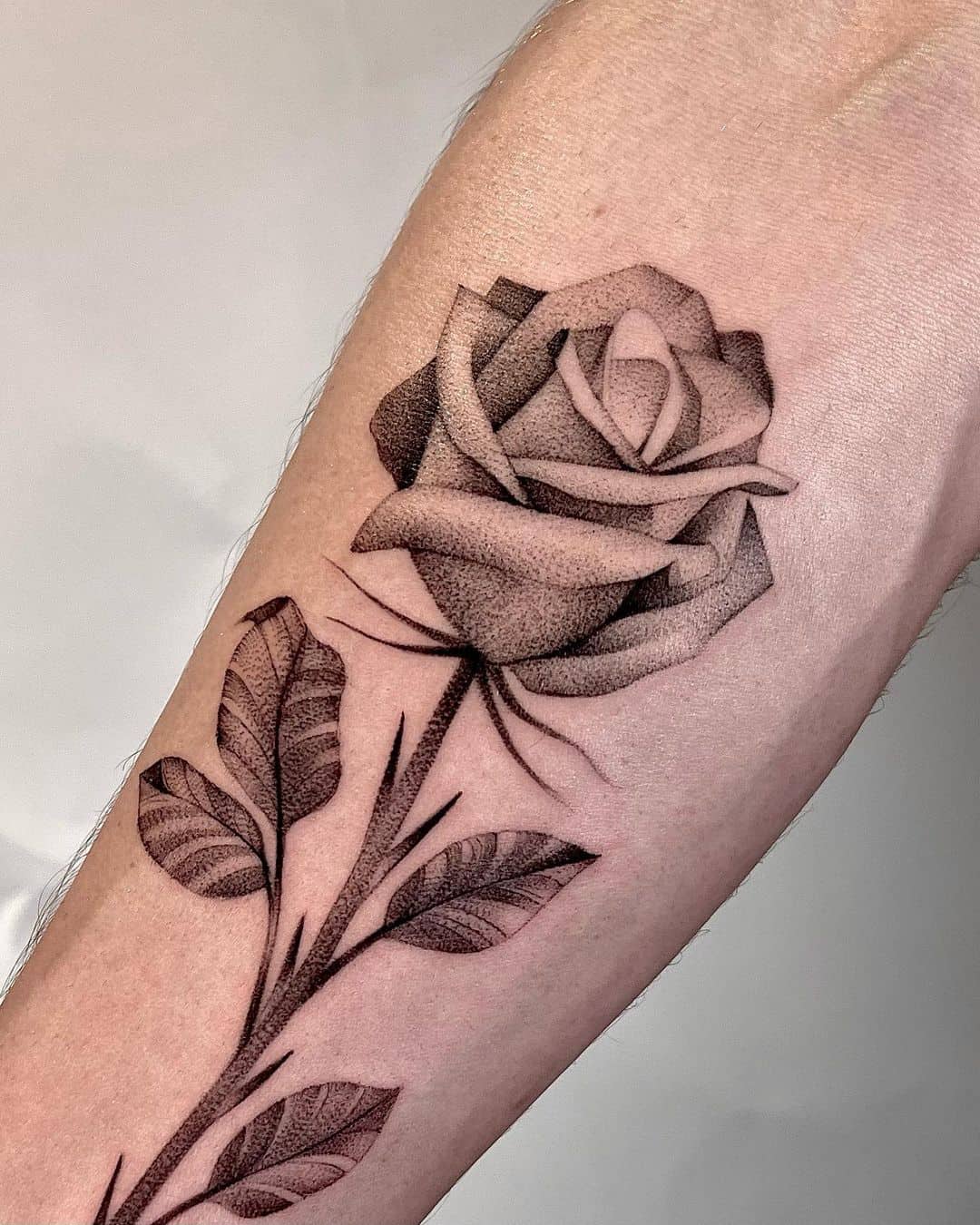 Beautiful rose tattoo by eddie dit