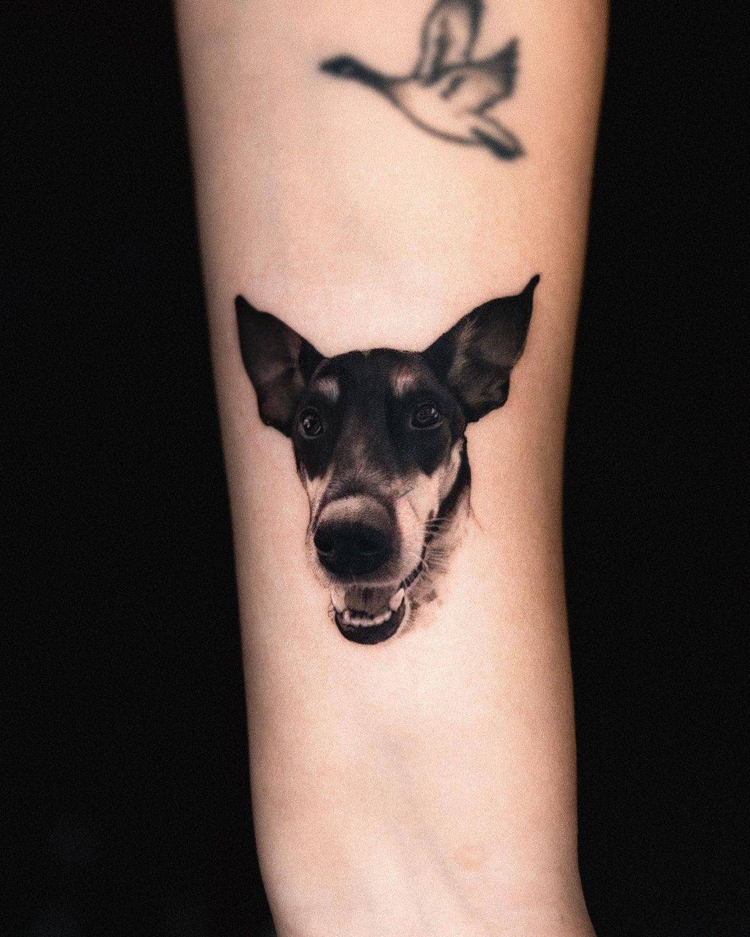 Amazing Realistic dog portrait tattoo on arm by blindreasontattoo