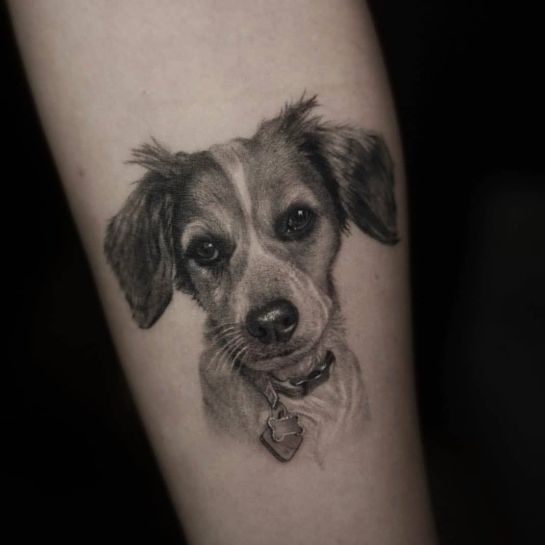 Black and grat dog portrait tattoo by admdeanart