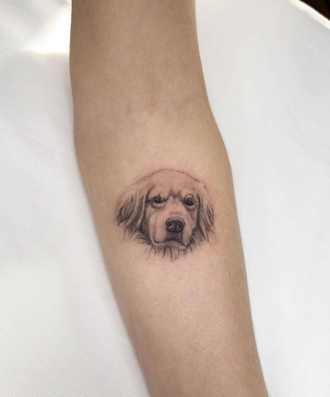 Black and gray dog portrait tattoo by kaan.tattoo