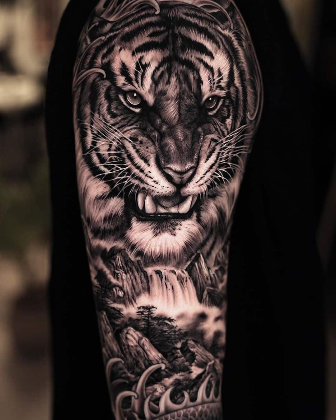 Amazing Roaring Tiger design by sumok tattooer