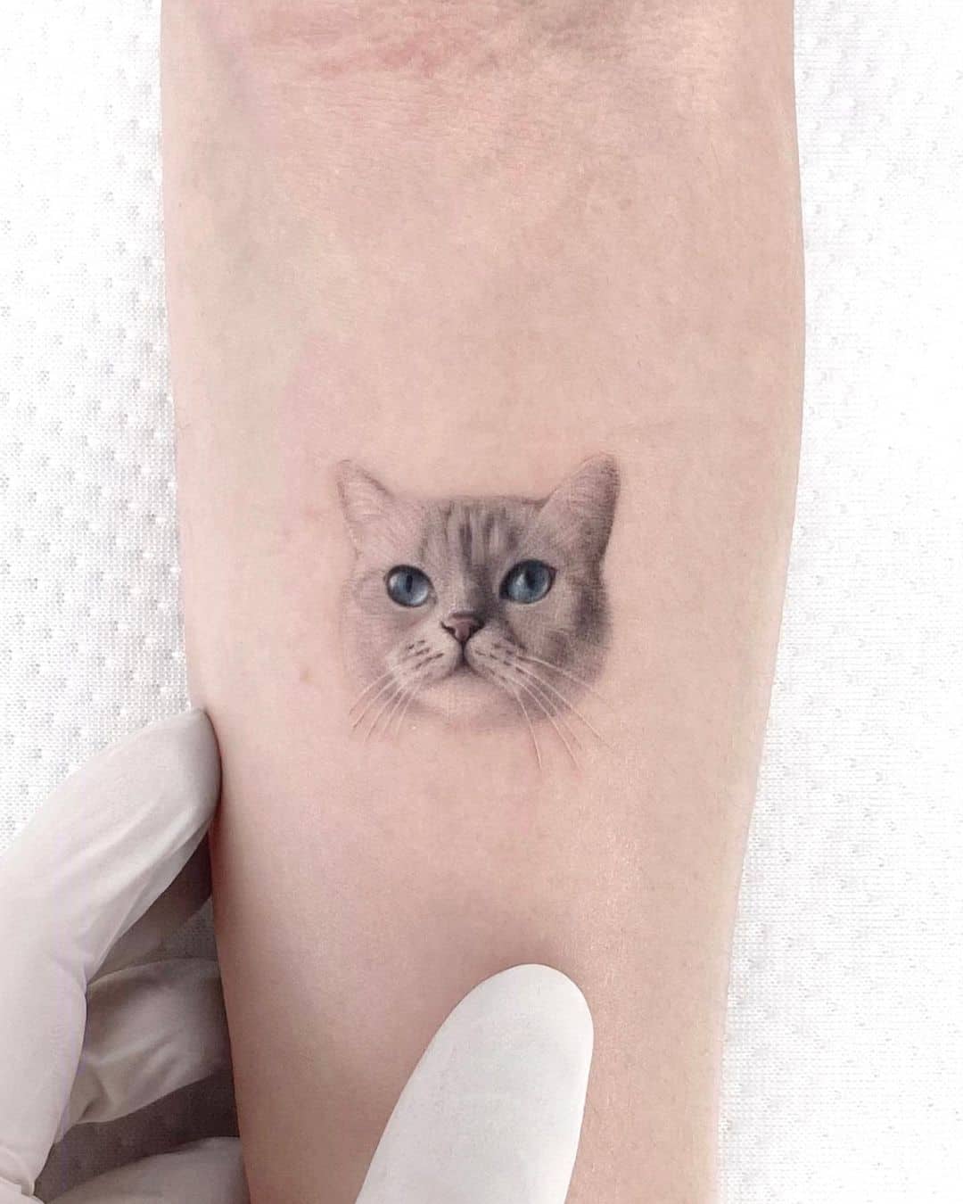 Amazing cute cat tattoo by mustafaalakoc