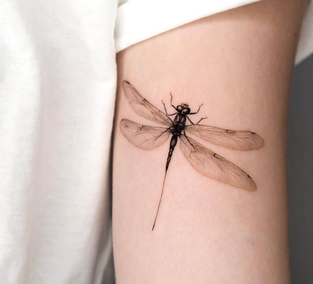 Amazing dragonfly tattoo by redhaare