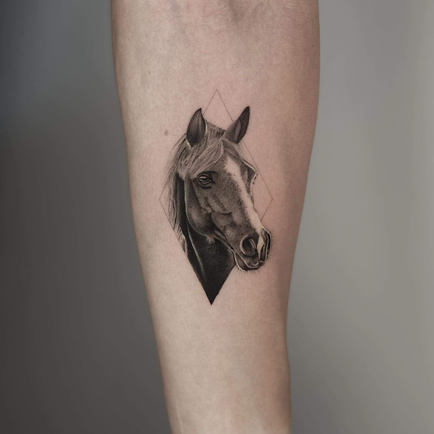 Horse head tattoo stock vector Illustration of animal  26584509