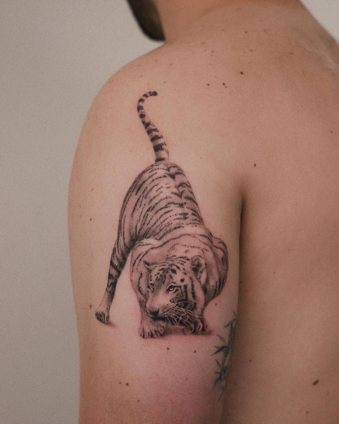 Amazing white tiger tattoo on arm by jc.arana ink
