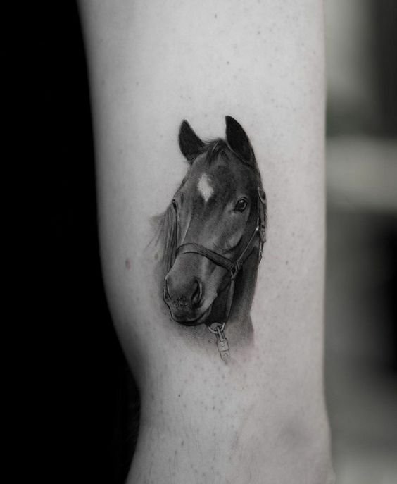 Back horse tattoo 1