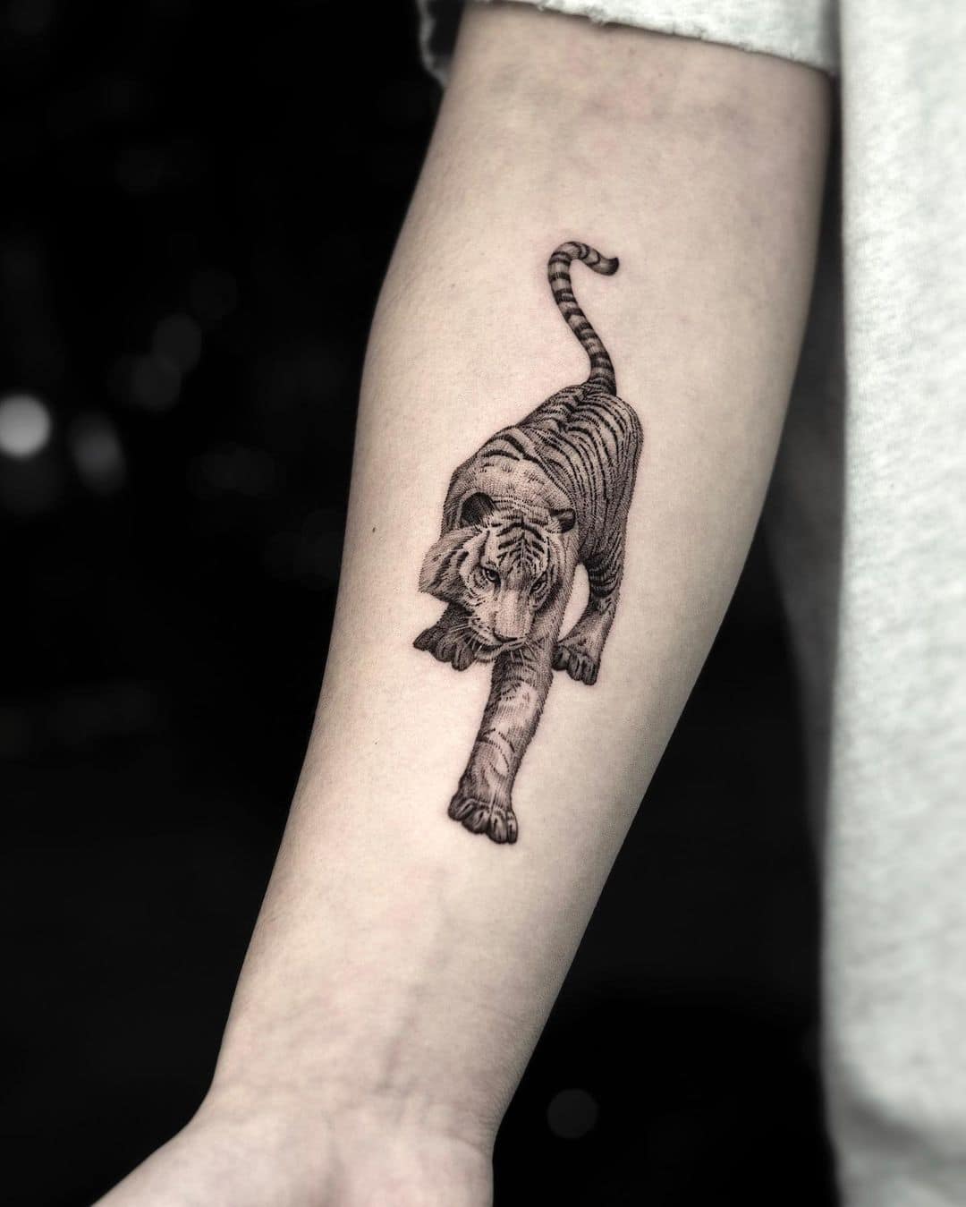 Beautiful Realistic tiger tattoo on arm by z9 ttt