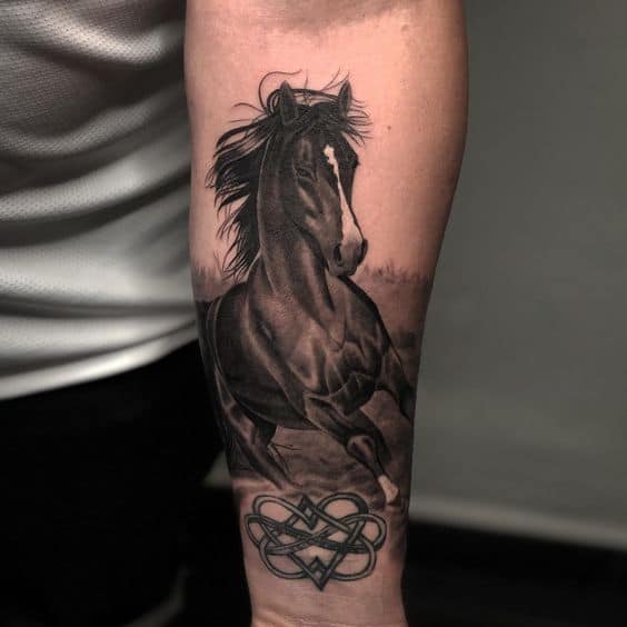 Beautiful horse portrait tattoo on forearm