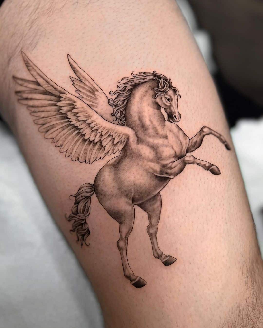 Beautiful horse with wings tattoo by andreabarreda