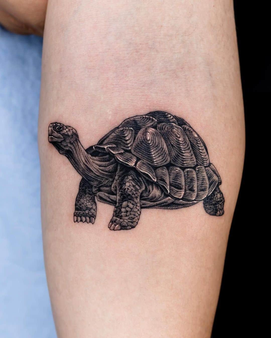 Beautiful realistic tortoise tattoo by hanstattooer